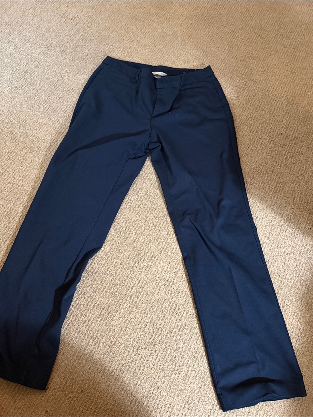 Christopher & Banks Men's Dark Blue Dress Pants